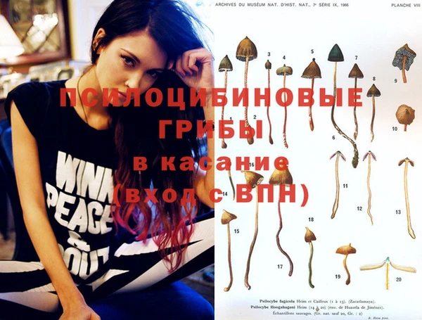 гашик Магас