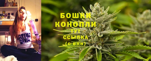 гашик Магас