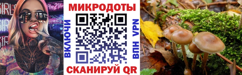 Галлюциногенные грибы Psilocybine cubensis  Аргун 