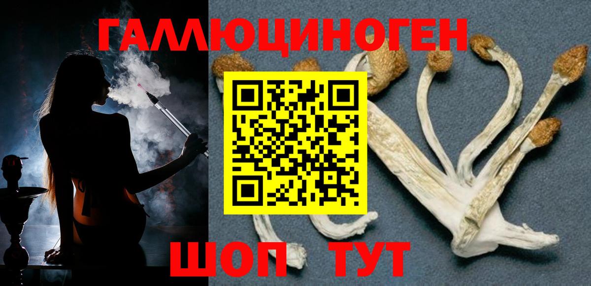Аргун  Галлюциногенные грибы MAGIC MUSHROOMS  Псилоцибиновые грибы прущие грибы  Вход с VPN 