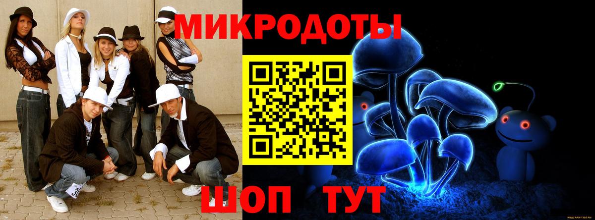 Псилоцибиновые грибы Psilocybine cubensis  Аргун  Псилоцибиновые грибы мицелий 