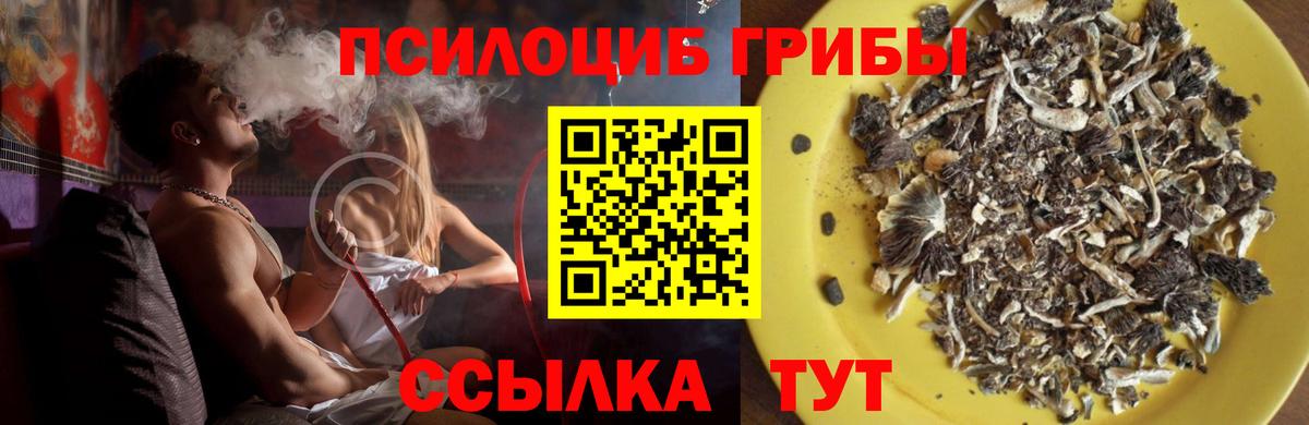 Галлюциногенные грибы мицелий Аргун